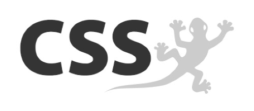 CSS AG
